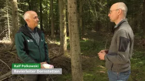 Video: 18) Fortgeschrittene Überführung von Fichten-betonten Altersklassenwäldern hin zu plenterwaldartigen Wäldern