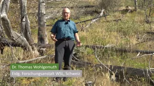 Video: Dynamik der Wiederbewaldung nach einem Waldbrand in Leuk (Teil 3)