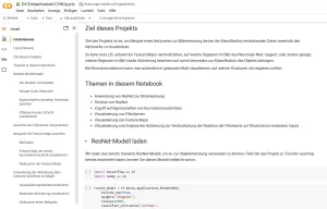 Sonstiges: D4 Jupyter Notebook: Erklärbarkeit von neuronalen Netzen am Beispiel CNN