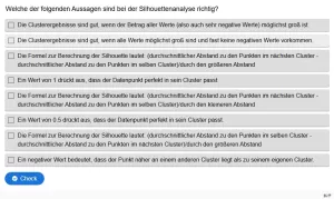 Lernspiel: C8-4 Multiple Choice: Berechnung der Silhouetten. Quiz zum Video