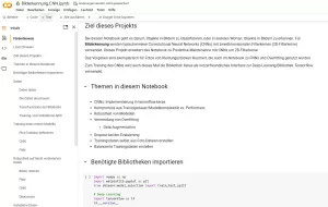 Sonstiges: F3 Jupyter Notebook: Bilderkennung mit CNNs