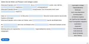 Lernspiel: C9-5 Drag the Words: Adversarial Examples. Quiz zum Video