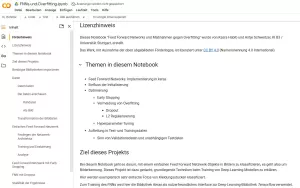 Sonstiges: F2 Jupyter Notebook: FNNs und Overfitting