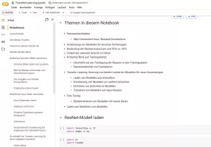 Sonstiges: F4 Jupyter Notebook: Transfer Learning