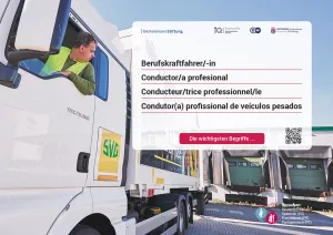 Arbeitsblatt: Berufskraftfahrer/-in | Die wichtigsten Begriffe (Französisch, Spanisch)