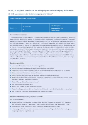 Unterrichtsplanung: Handreichung für die Pflegeausbildung am Lernort Pflegeschule | Beispiel 2 für LS CE02 B