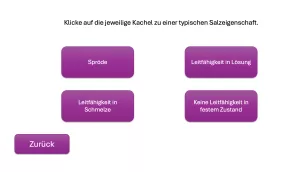 Simulation: Struktur-Eigenschaftsbeziehung von Salzen