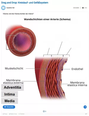 Interaktion: Kreislauf- und Gefäßsystem