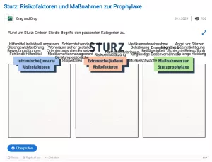Interaktion: Sturz: Risikofaktoren und Maßnahmen zur Prophylaxe