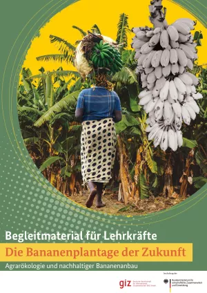 Unterrichtsplanung: Die Bananenplantage der Zukunft: Begleitmaterial für Lehrkräfte