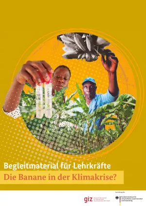 Unterrichtsplanung: Die Banane in der Klimakrise?: Begleitmaterial für Lehrkräfte