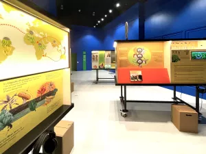 Poster: Posterausstellung: Eine Forschungsreise zur Banane