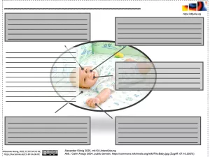Veranschaulichung: Wie erfahren Menschen ihre Umwelt? - Schema
