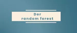 Video: Prognosemodelle: Klassifikation und Regression | 03 | Der random forest (MP4)