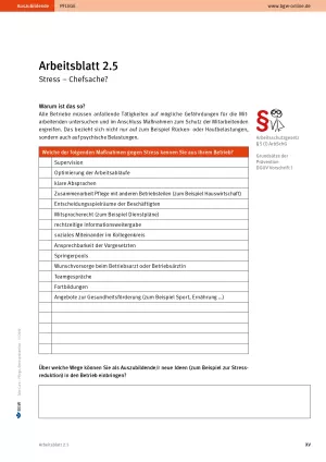 Arbeitsblatt: Take Care Stressprävention: Stress - Chefsache? (Arbeitsblatt 2.5)