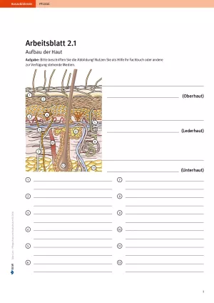 Arbeitsblatt: Take Care Haut und Hautschutz: Aufbau der Haut (Arbeitsblatt 2.1)