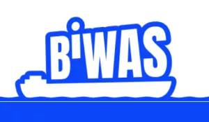 Webseite: BIWAS: Anleitung für Lehrkräfte