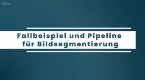 Video: Bildklassifikation und Bildsegmentierung | 08 | Fallbeispiel und Pipeline für Bildsegmentierung (MP4)