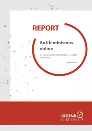 Broschuere: Report: Antifeminismus online
