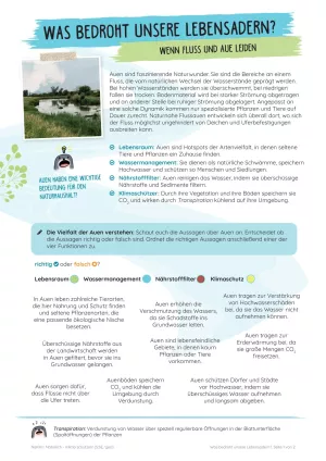 Unterrichtsbaustein: Was bedroht unsere Lebensadern? Wenn Fluss und Aue leiden