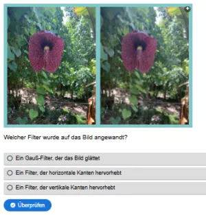 Interaktion: Woche 13 | Theorie | Bildverarbeitung (Aufgabe 2)