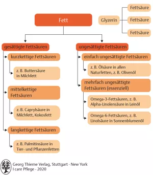 Bild: I care Pflege | Pflegebasismaßnahmen | Fette (Grafik)