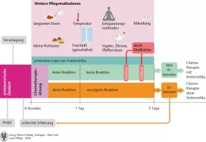 Bild: I care Pflege | Unterschiedliche Pflegesettings | Therapie bei Übelkeit und Erbrechen während der Chemotherapie (Grafik)