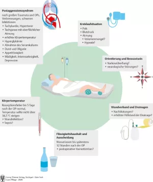 Bild: I care Pflege | Unterschiedliche Pflegesettings | Patientenüberwachung nach einer OP (Grafik)