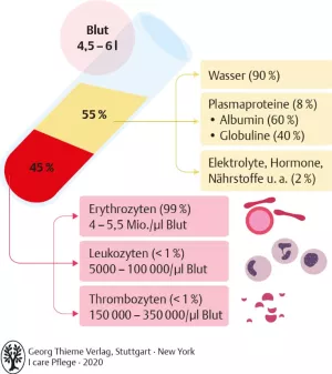 Bild: I care Pflege | Pflege bei speziellen Erkrankungen | Bestandteile des Blutes (Grafik)