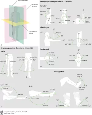 Bild: I care Krankheitslehre | Spezielle Krankheitslehre | Neutral-Null-Methode (Grafik)