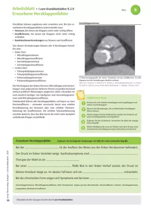 Arbeitsblatt: I care Krankheitslehre | Spezielle Krankheitslehre | Erworbene Herzklappenfehler (Arbeitsblatt)