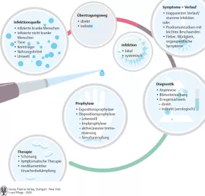 Bild: I care Krankheitslehre | Grundlagen | Überblick über Infektion (Grafik)