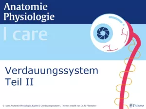 Presentation: I Care Anatomie | Organsysteme | Verdauungssystem Teil II (Präsentation)