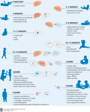 Bild: I Care Anatomie | Heranwachsen und Altern | Meilensteine der Entwicklung (Grafik)