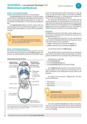 Arbeitsblatt: I Care Anatomie | Organsysteme | Blutkreislauf und Blutdruck (Arbeitsblatt)