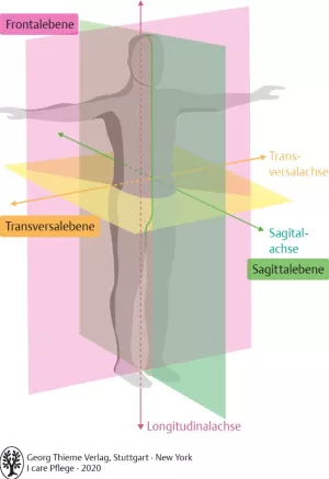Bild: I Care Anatomie | Grundlagen | Körperebenen und Körperachsen (Grafik)