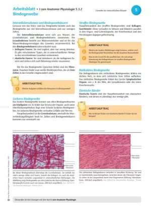 Arbeitsblatt: I Care Anatomie | Grundlagen | Bindegewebe (Arbeitsblatt)