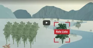 Video: Was passiert, wenn Gentechnik-Pappeln in die Umwelt gelangen?