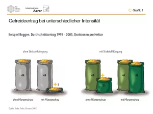 Infografik: Die Pflanzen schützen, den Menschen nützen: Grafiken