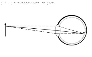 Entdeckendes: Bildentstehung im Auge (pdf-Datei)