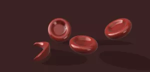 Entdeckendes: Rote Blutkörperchen (zip-Datei)