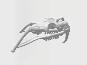 Entdeckendes: Schlangenkiefer (zip-Datei)