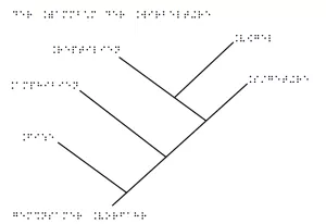 Entdeckendes: Stammbaum der Wirbeltiere (odg-Datei)
