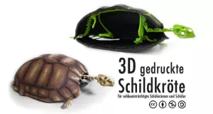 Entdeckendes: Schildkröte (zip-Datei)