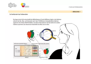 Bild: Lacke, Farben und Druckfarben - Was das Leben bunt macht: Abbildungen (ppt)