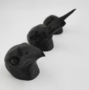 Entdeckendes: beaks of birds (zip-Datei)