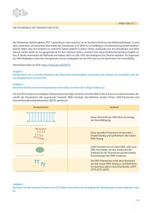 Unterrichtsbaustein: Impfungen: Kleiner Piks - große Wirkung: PCR und Schnelltest - Schülerversion