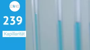 Video: Kapillarität