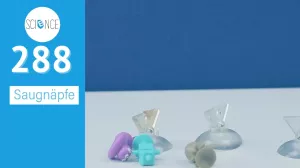 Video: Saugnäpfe