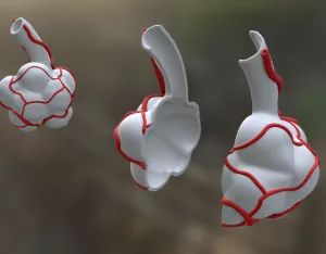 Entdeckendes: Lung Air Sacs (zip-Datei)